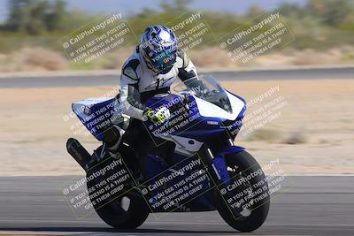 media/Nov-11-2023-SoCal Trackdays (Sat) [[efd63766ff]]/Turn 2 Set 2 (1145am)/